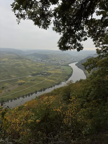 Von den Piesporter Heiligenhäuschen nach Klausen