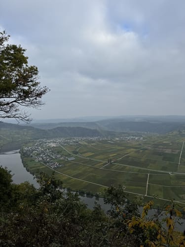 Von den Piesporter Heiligenhäuschen nach Klausen
