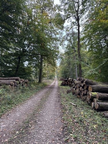 Von den Piesporter Heiligenhäuschen nach Klausen