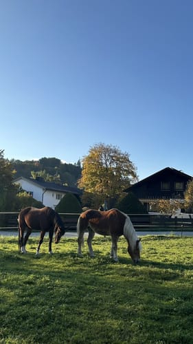 Am Kochelsee zwischen Schlehdorf und Rau