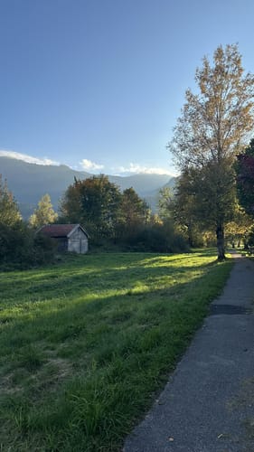 Am Kochelsee zwischen Schlehdorf und Rau