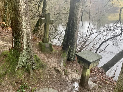Rund um das Ulmener Maar