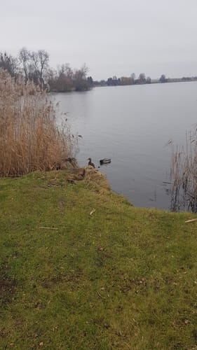 Um den Mündesee