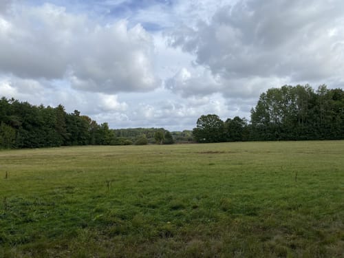 Moritzburg Park Runde