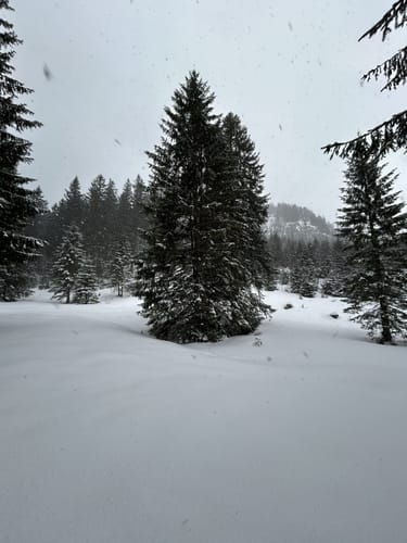 Mühlberg zum Laubenstein