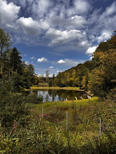 Weites Wasserland (D6)