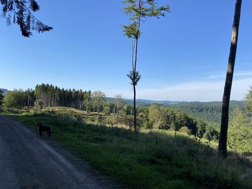 Adenauer Höhenrunde