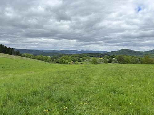 Steinperfer Runde (Extratour)