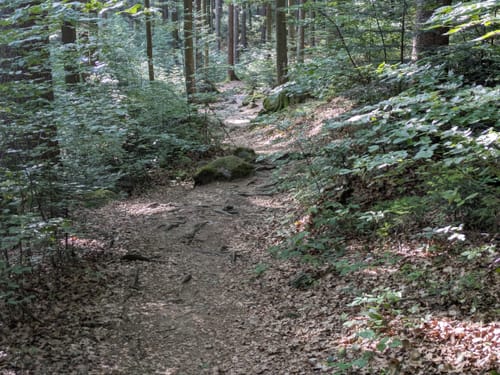 Riederin-Rundweg