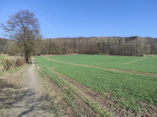 Longinusturm Rundweg A3