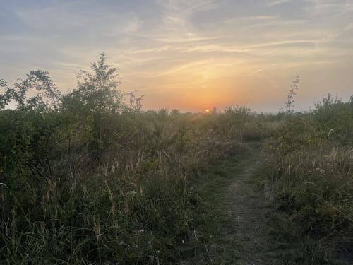Feensteig im Märchenwald