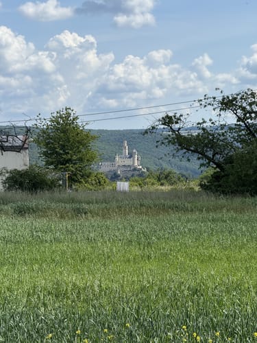 Spayer BlickinsTal (Premiumspazierwanderweg)