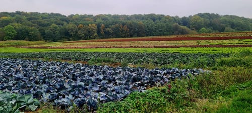 Römerkanal-Wanderweg Etappe 6: Brenig - Brühl