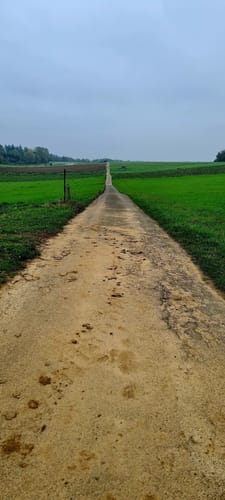 Römerkanal-Wanderweg Etappe 6: Brenig - Brühl