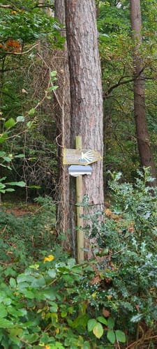 Römerkanal-Wanderweg Etappe 6: Brenig - Brühl