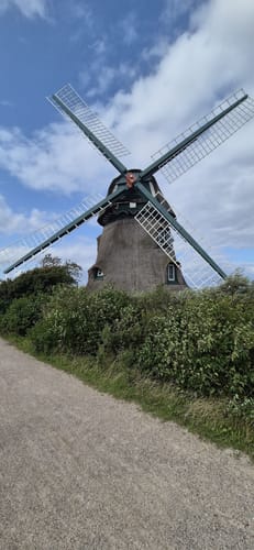 Rund um die Geltinger Birk