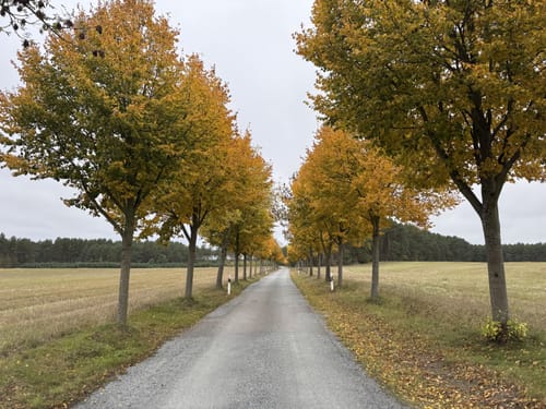 Radtour rund um Roggentin