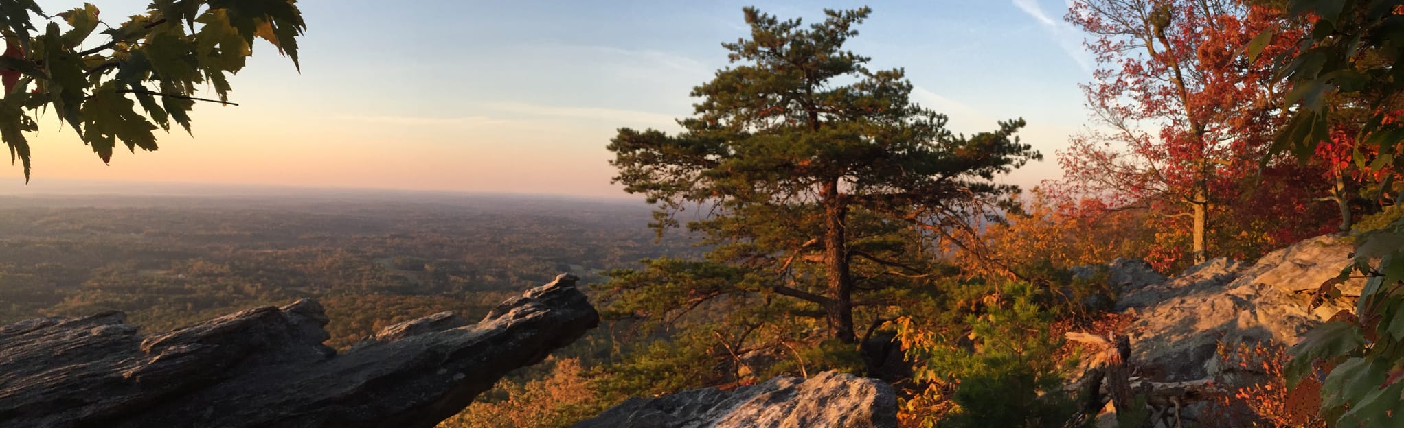 Wolf Rock Loop Trail, North Carolina - 608 Reviews, Map | AllTrails