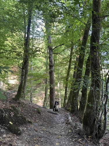 Naturpfad Weltende