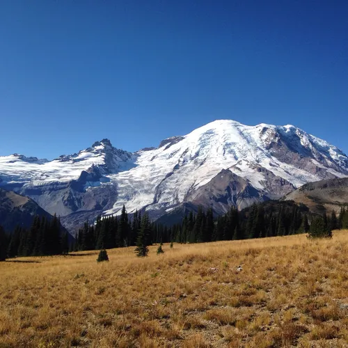 2023 Best 10 Backpacking Trails in Mount Rainier National Park AllTrails