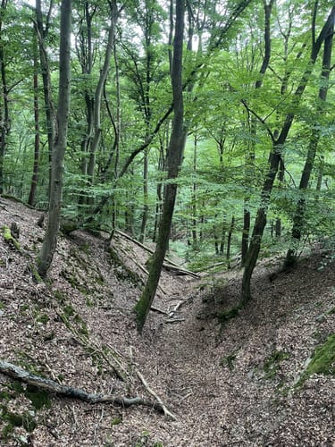 Rheinsteig: Kamp Bornhofen - Kestert - St. Goarshausen