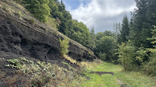Gerolsteiner Felsenpfad (Vulkaneifel-Pfade)