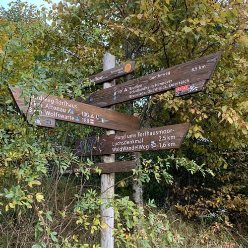 Auf dem Goetheweg zum Brocken