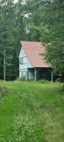 Mönchswald -Steinerner Tisch -Salzweg