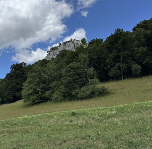 Donautal: Bergsteig - Ziegelhöhle - Ruine Kallenberg