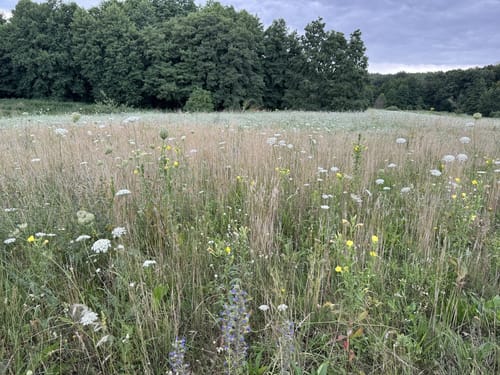 Schwielowsee Rundweg