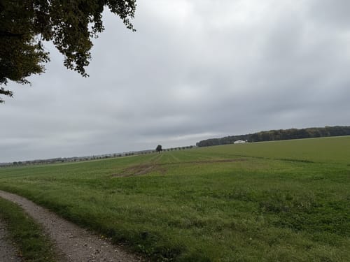 Romantische Straße Etappe 7: Creglingen - Rothenburg