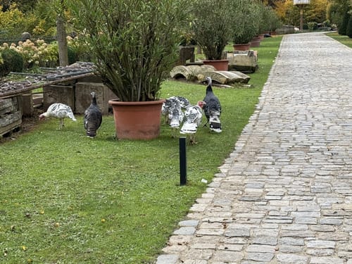 Romantische Straße Etappe 7: Creglingen - Rothenburg