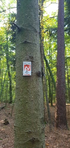 Nordpfad Kuhbach-Oste