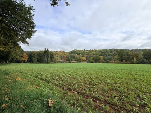 Vilstalwanderweg Etappe 2: Vilseck - Altmannshof