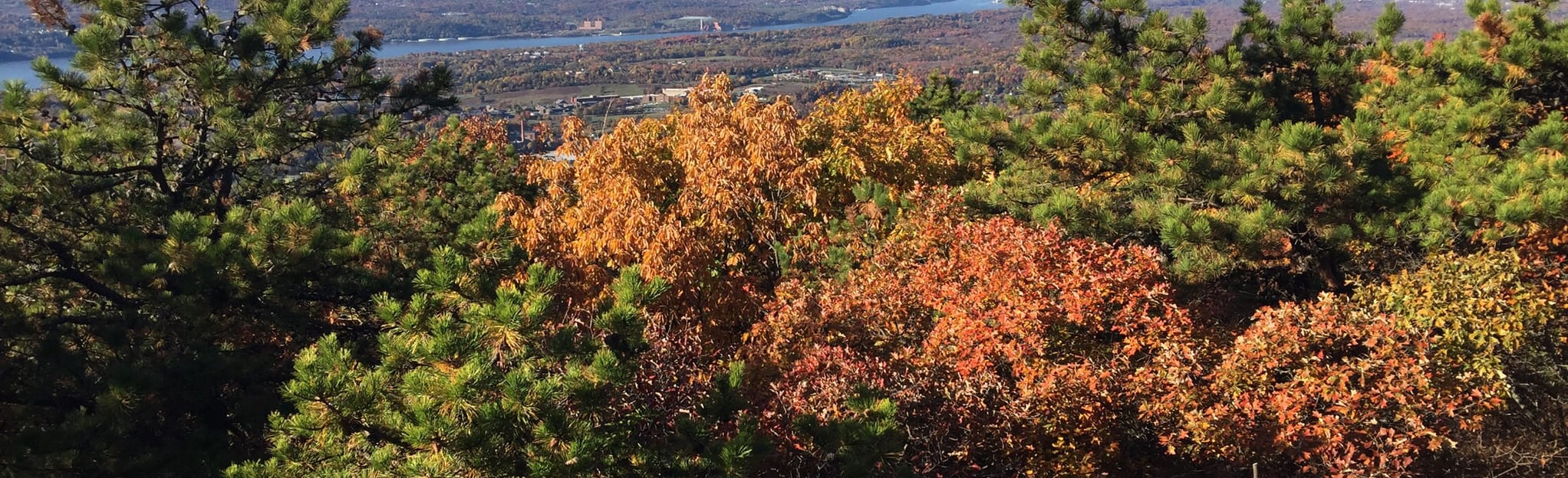 Hudson Highlands Overlook Trail, New York 333 Reviews, Map AllTrails