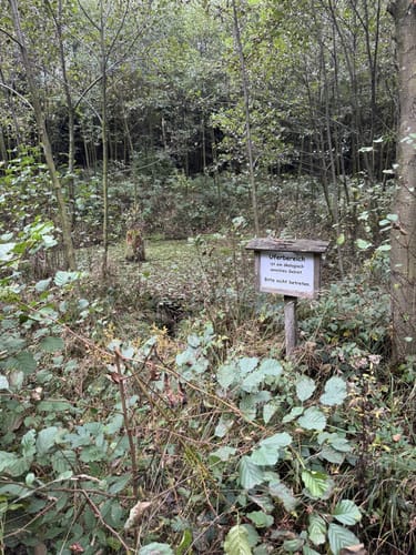 Von Werdohl entlang dem Landwehrbach