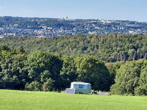 Zum Wildgehege am Ehrenberg und Umgebung