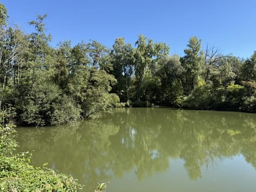 An der Isar zwischen Garching und Ismaning
