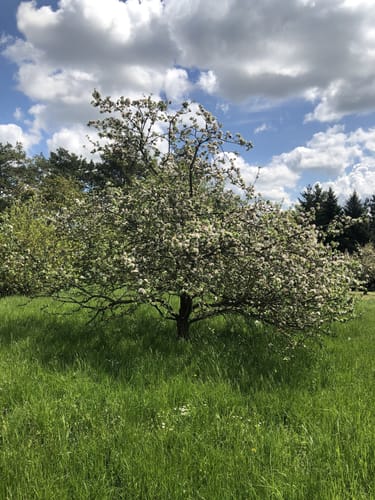 SaaleHorizontale Etappe 4: Dornburg - Jena