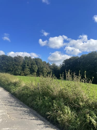 Herrenstrunden Bergisch-Gladbach Rundweg
