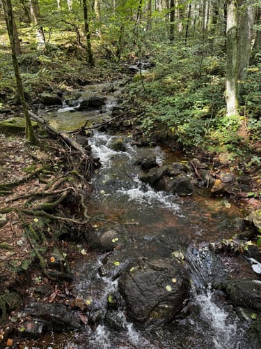 Zwei-Täler-Weg (Traumschleife)