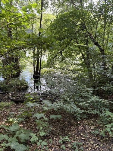 Schmalsee