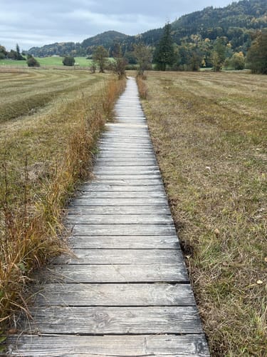 Von Umrathshausen um den Bärnsee
