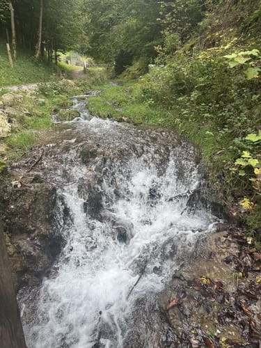 Wildparkrunde