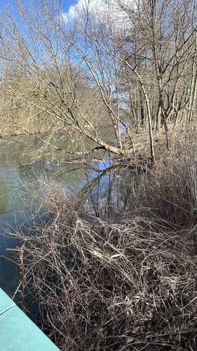 Cottbuser Spree-Brücken
