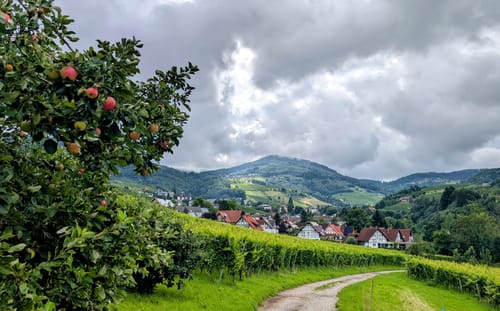 Alde Gott Panoramarunde (Genießerpfad)
