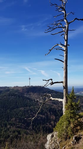 Albsteig (HW1) Etappe 14: Burgfelden - Ratshausen