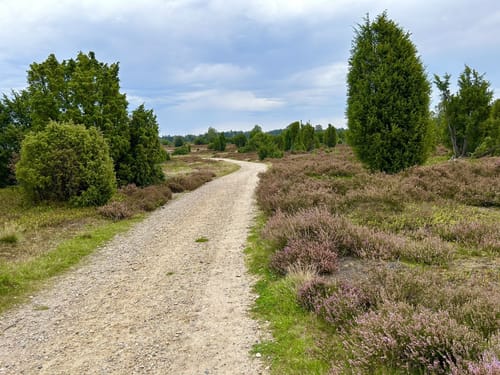 Rundwanderweg Wilsede W1