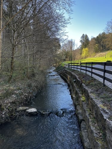 Siegelsbach - Burg Guttenberg