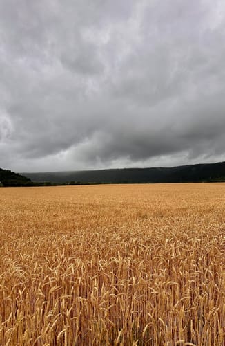 Donau-Radweg (D-Route 6) Etappe 5: Tuttlingen - Sigmaringen